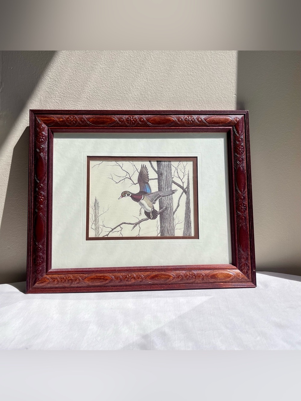 Framed Wood Mallard Duck Illustration in Brown Frame - Unbranded